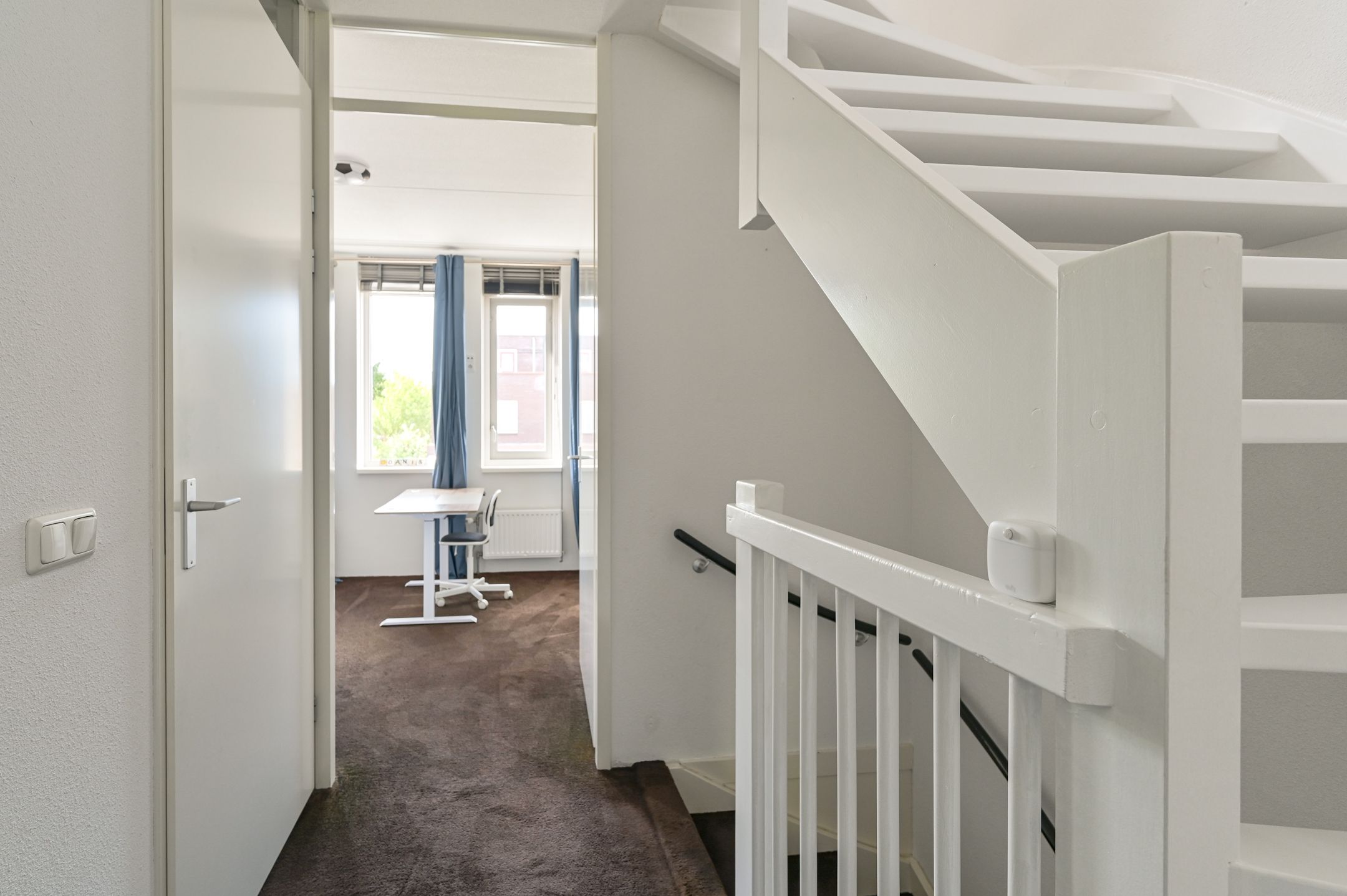 Foto 24 van Citroenvlinder 43