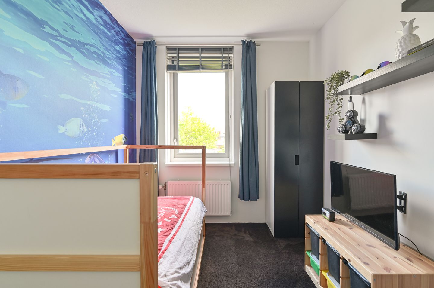 Foto 35 van Citroenvlinder 43