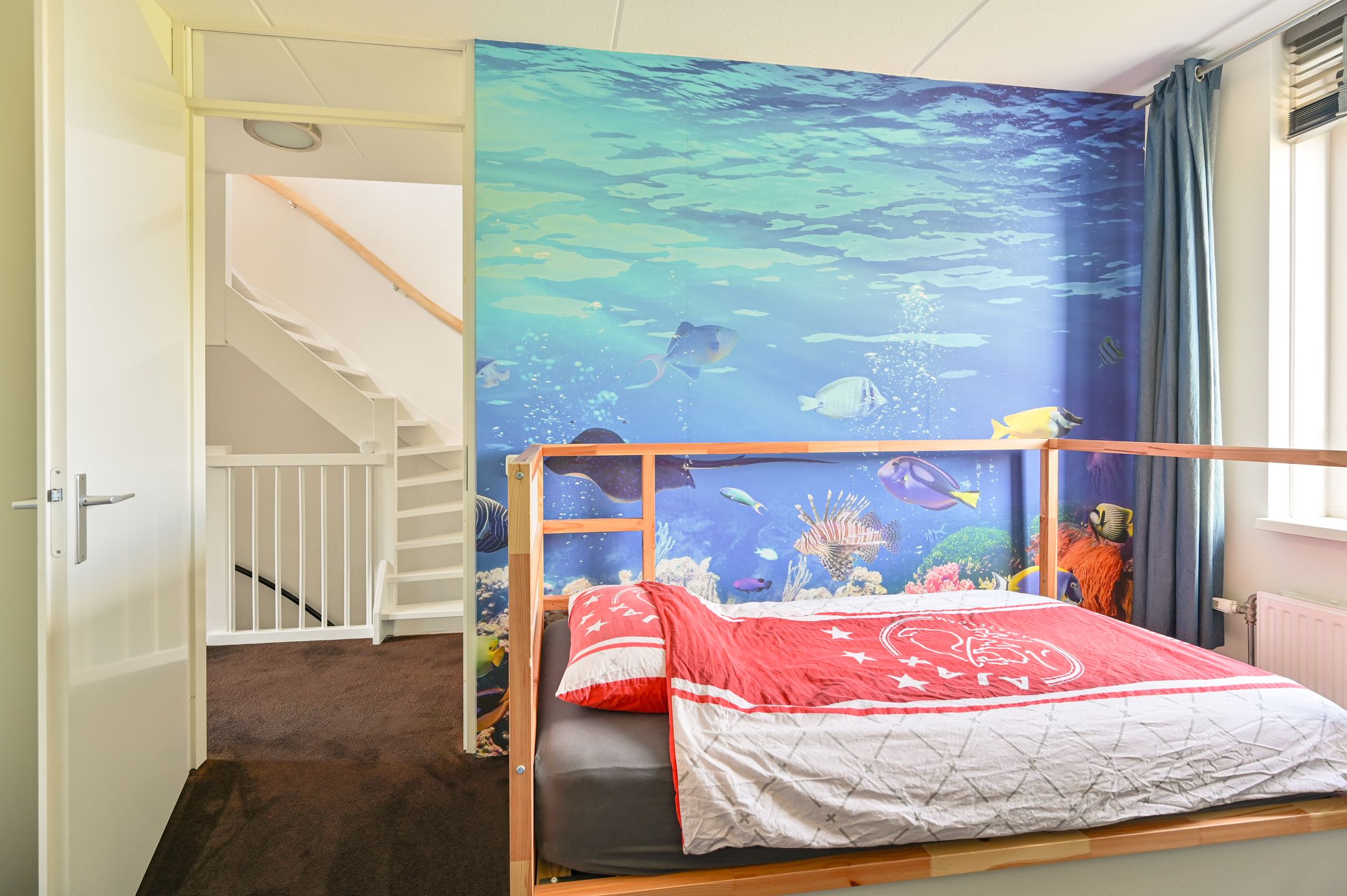 Foto 36 van Citroenvlinder 43