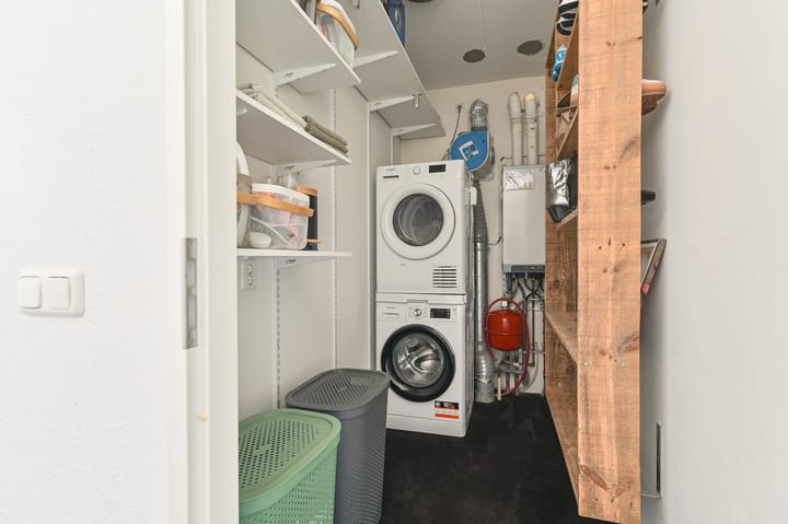 Foto 40 van Citroenvlinder 43