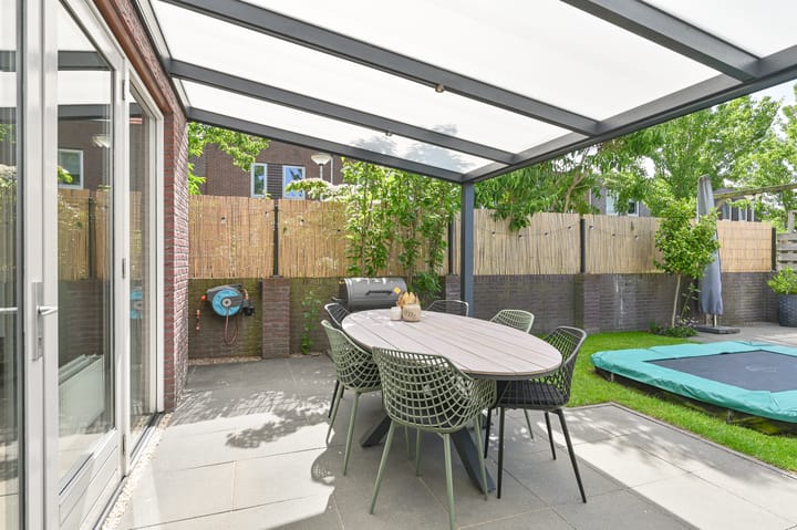 Foto 42 van Citroenvlinder 43