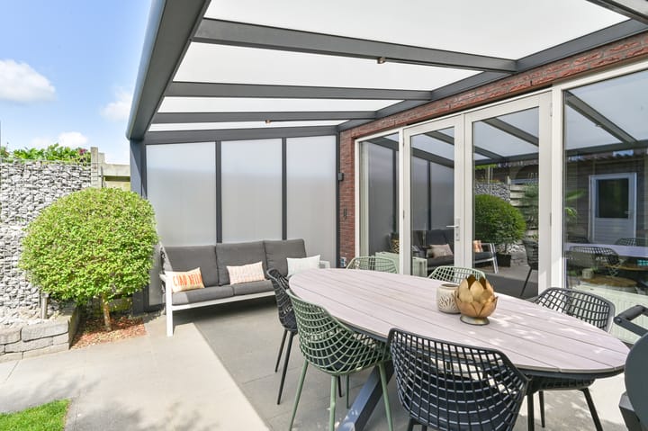 Foto 45 van Citroenvlinder 43