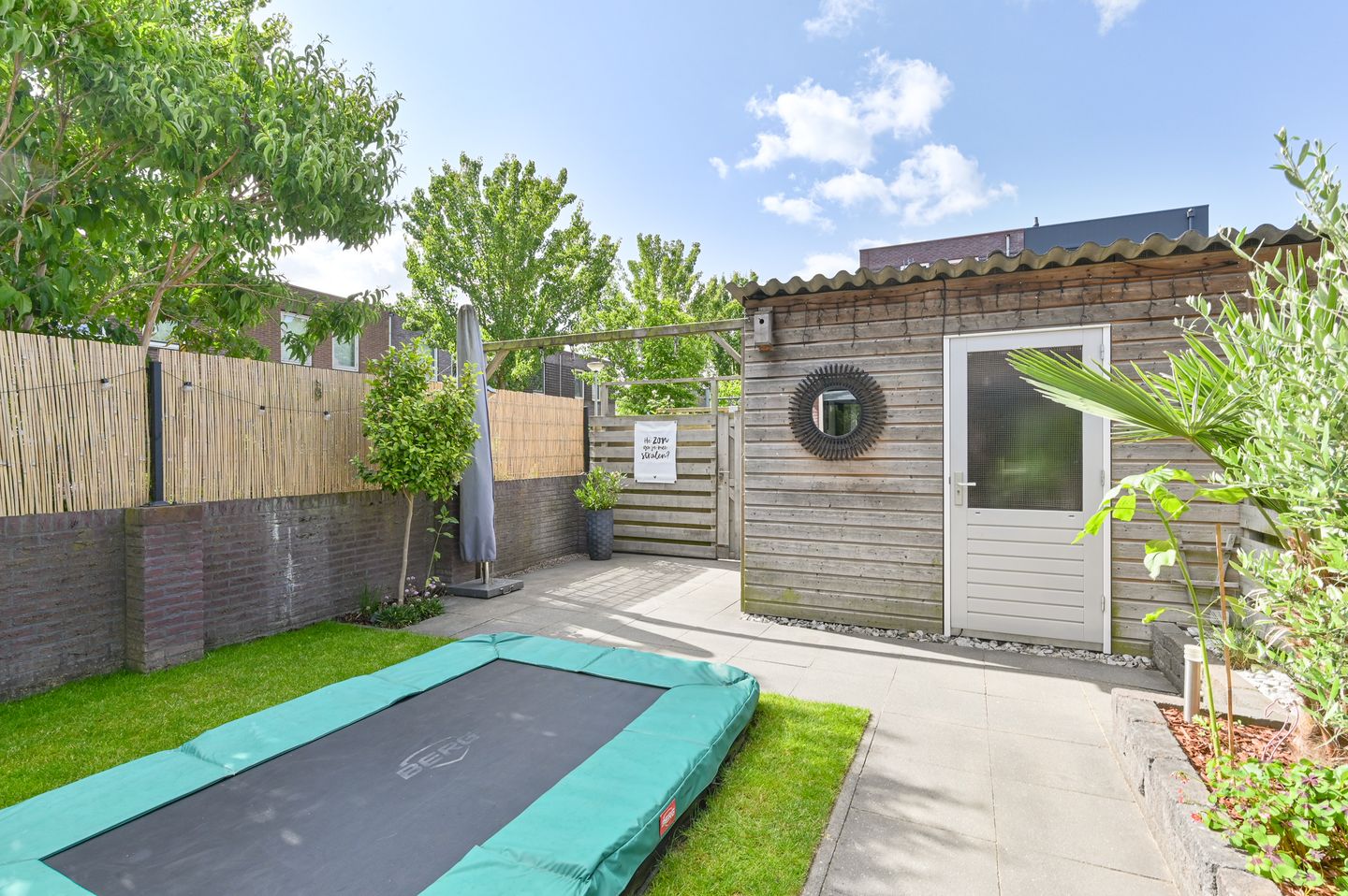 Foto 49 van Citroenvlinder 43