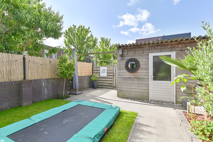 Foto 49 van Citroenvlinder 43