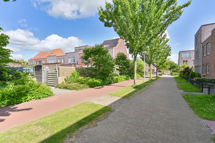 Foto 50 van Citroenvlinder 43