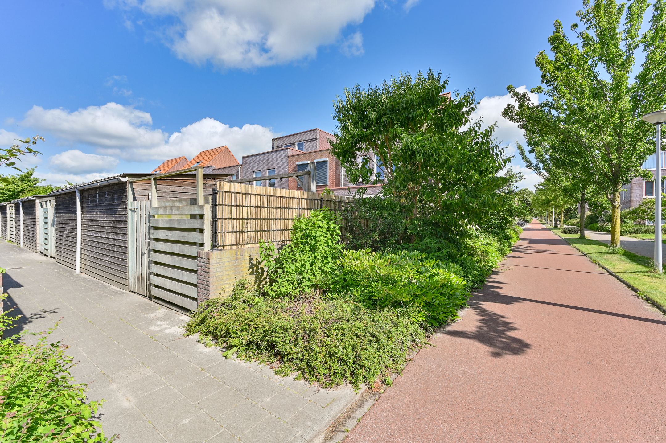 Foto 51 van Citroenvlinder 43