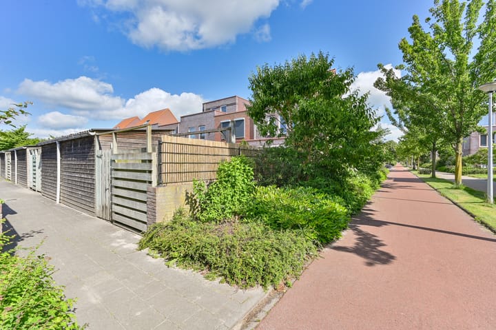 Foto 51 van Citroenvlinder 43