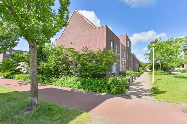 Foto 52 van Citroenvlinder 43