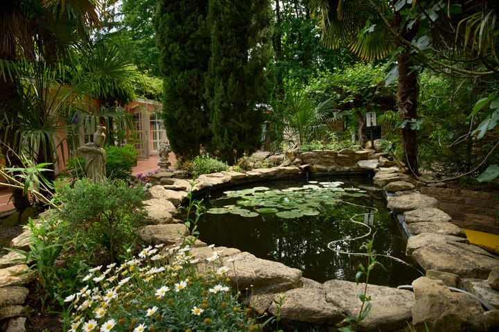 Foto 42 van Patrijslaan 9