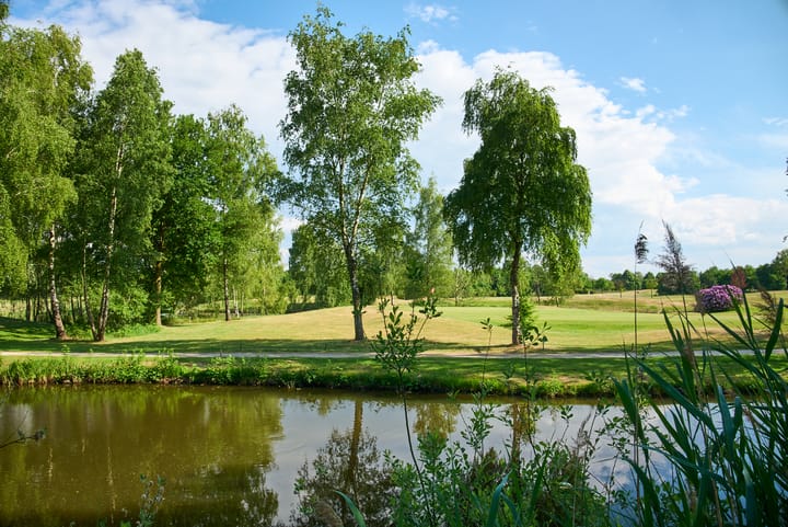 Foto 46 van Patrijslaan 9