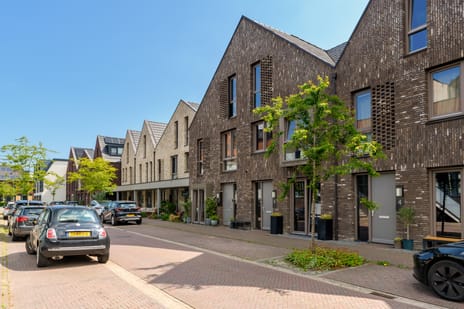 Cornelis Kraijenhoffstraat thumbnail