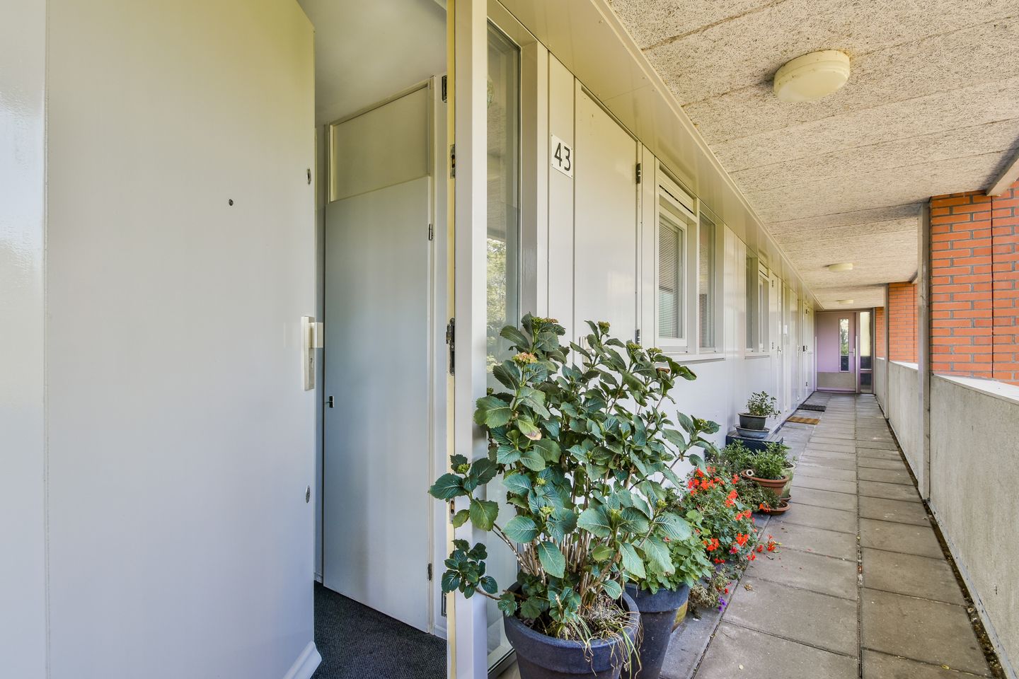 Foto 20 van Suze Groenewegplantsoen 43