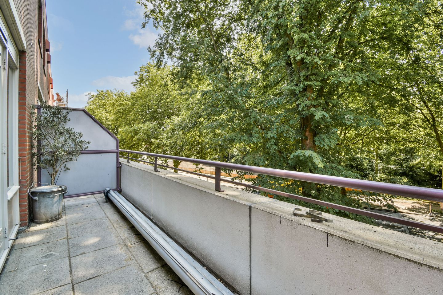 Foto 5 van Suze Groenewegplantsoen 43