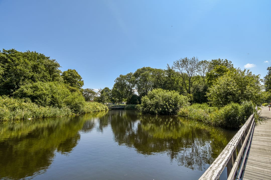 Foto 26 van Suze Groenewegplantsoen 43