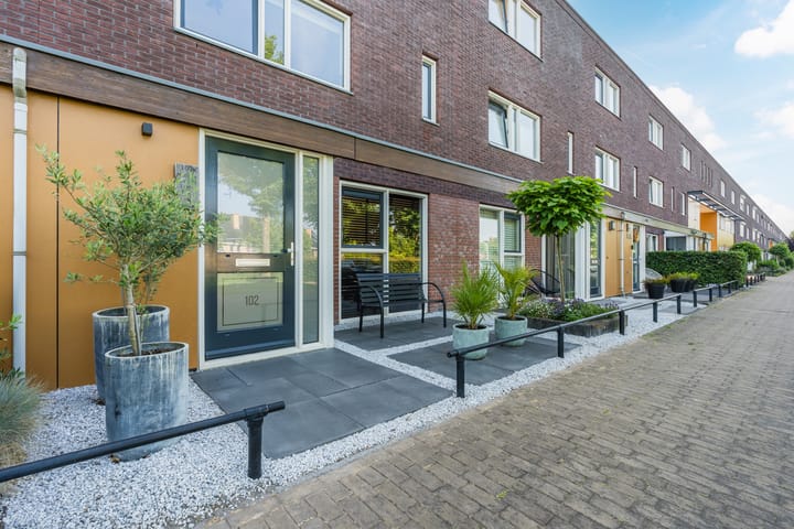 Photo 4 of Citroenvlinder 102