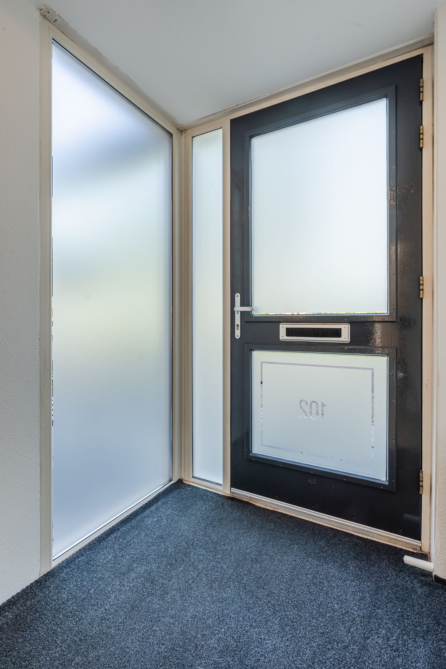 Foto 14 van Citroenvlinder 102