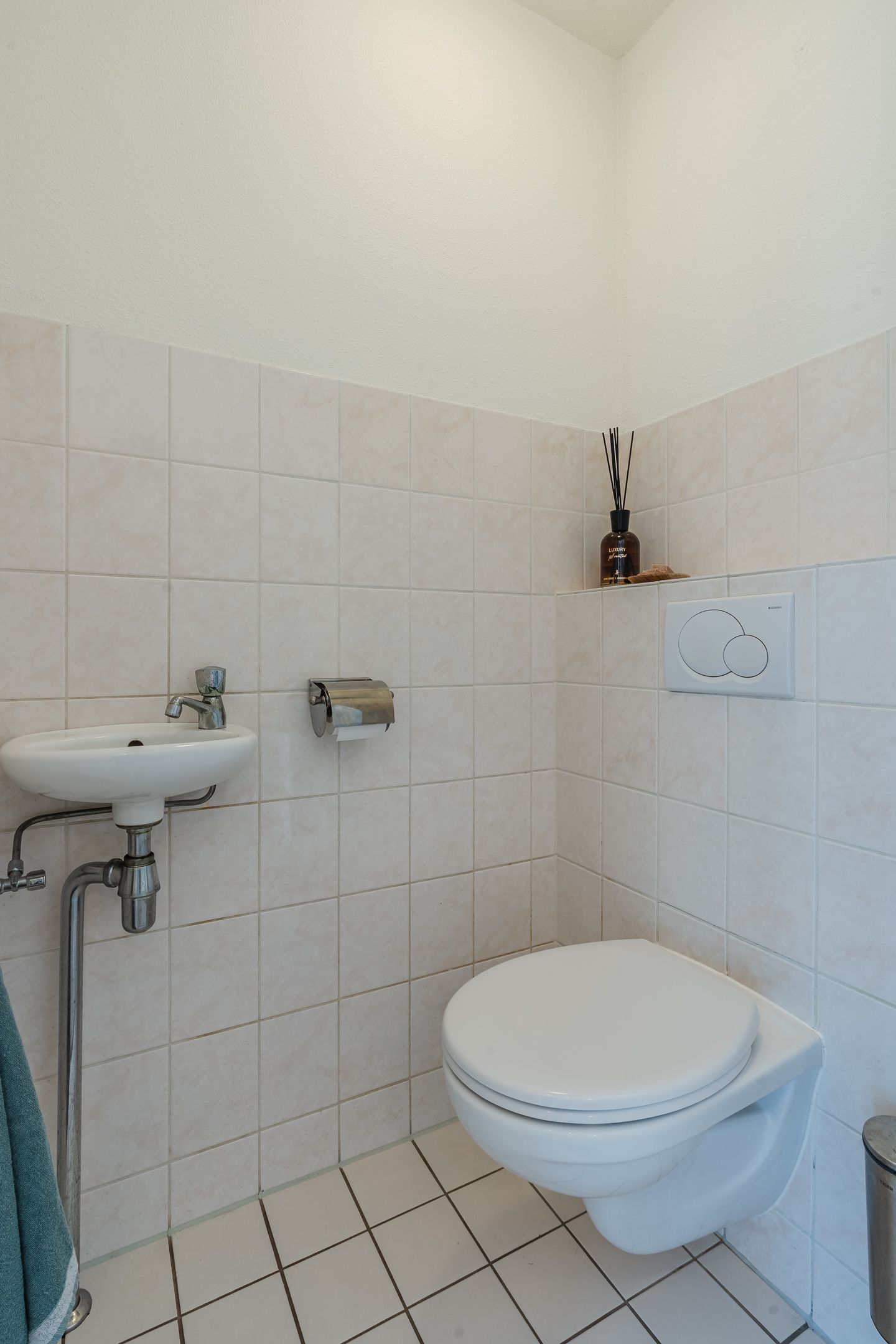 Foto 15 van Citroenvlinder 102