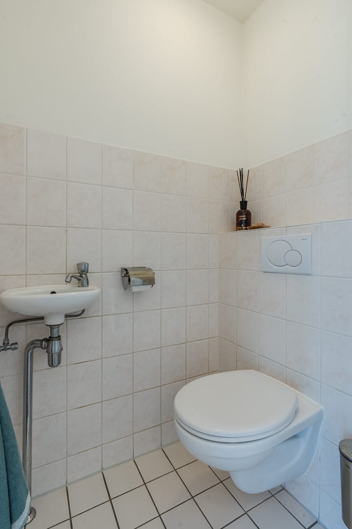 Photo 15 of Citroenvlinder 102