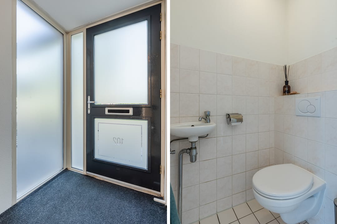 Foto 16 van Citroenvlinder 102