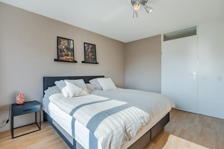 Photo 24 of Citroenvlinder 102