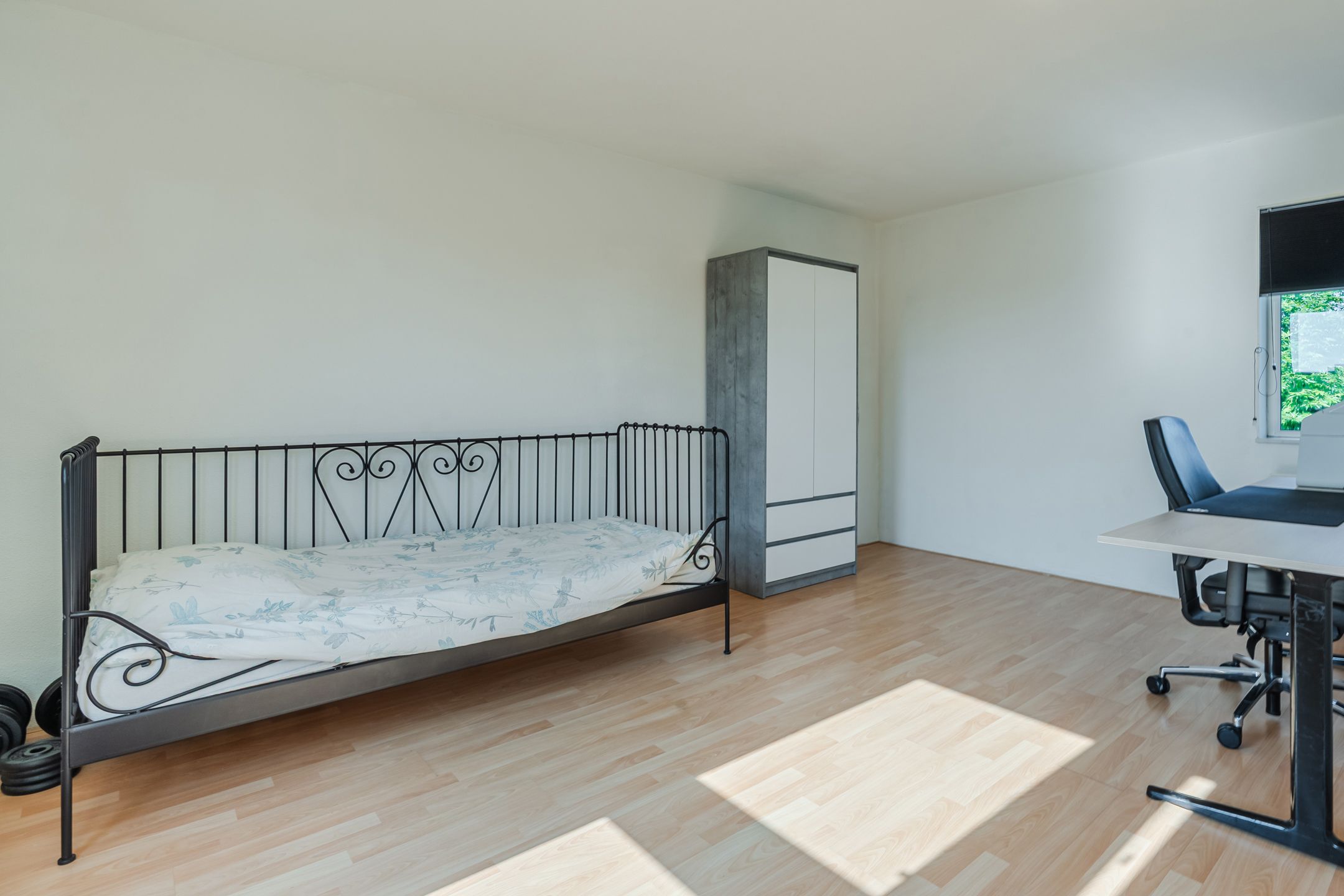 Foto 33 van Citroenvlinder 102