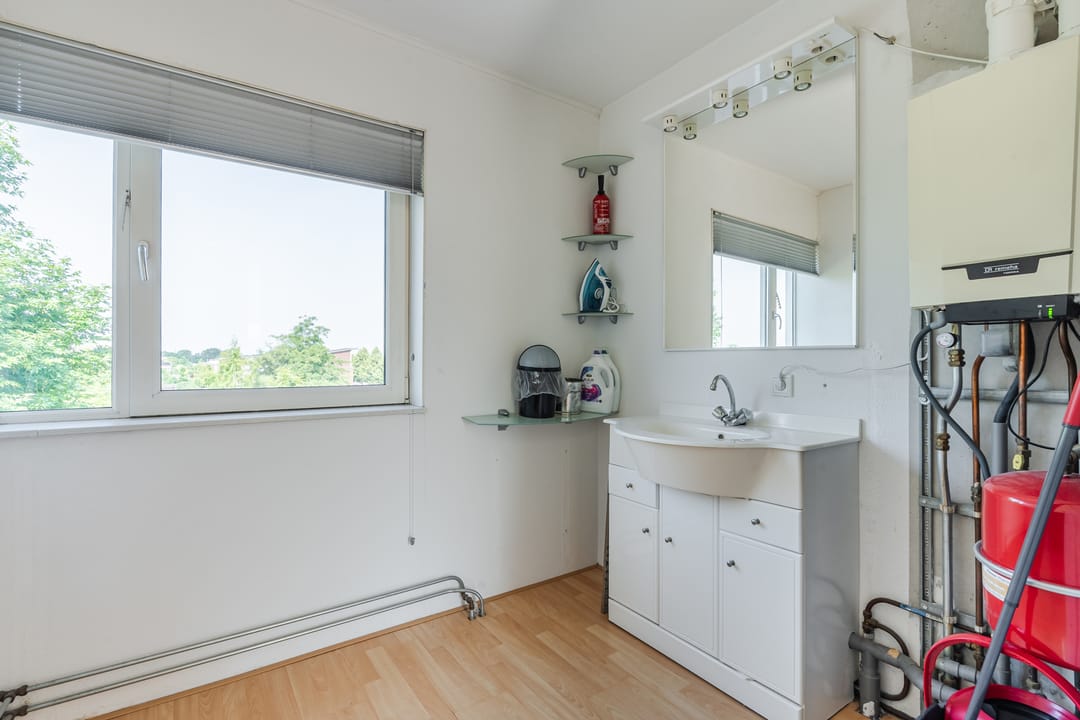 Foto 37 van Citroenvlinder 102