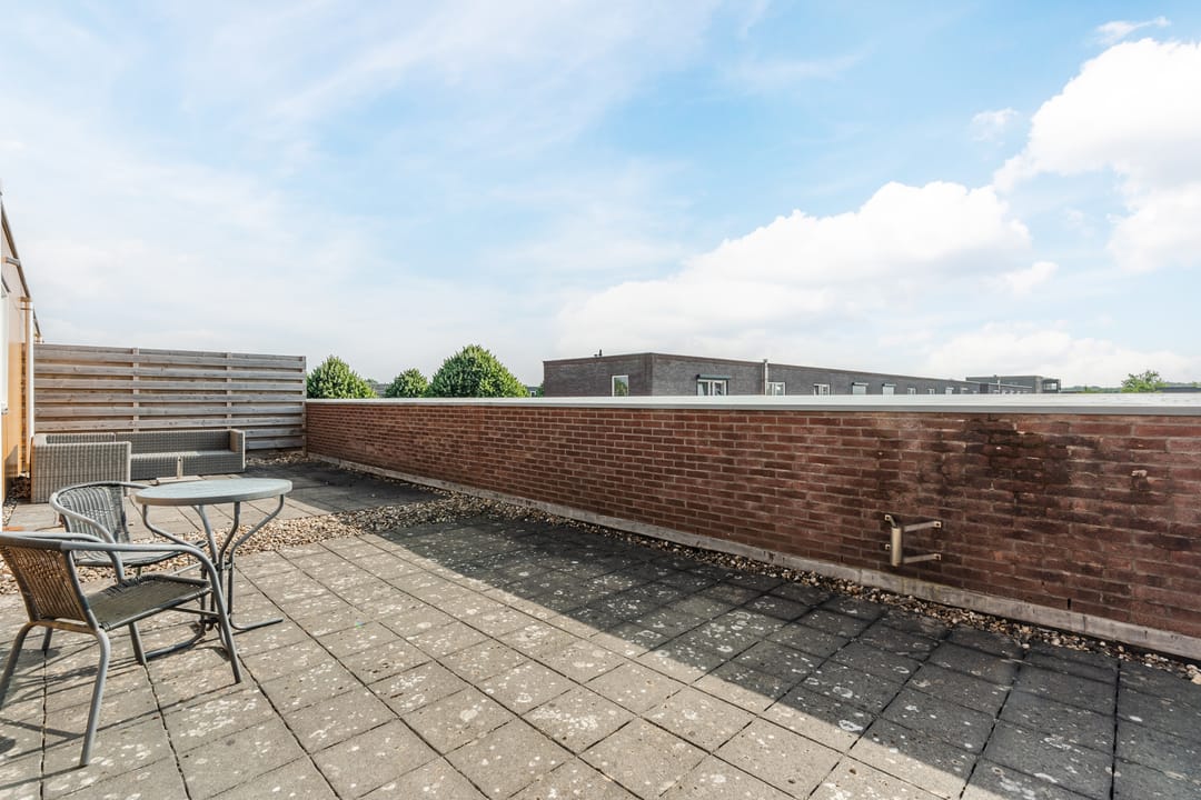 Foto 38 van Citroenvlinder 102