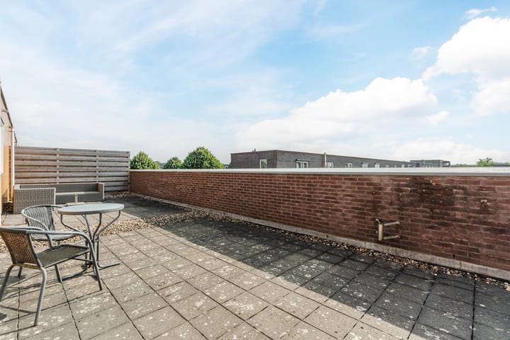 Photo 38 of Citroenvlinder 102