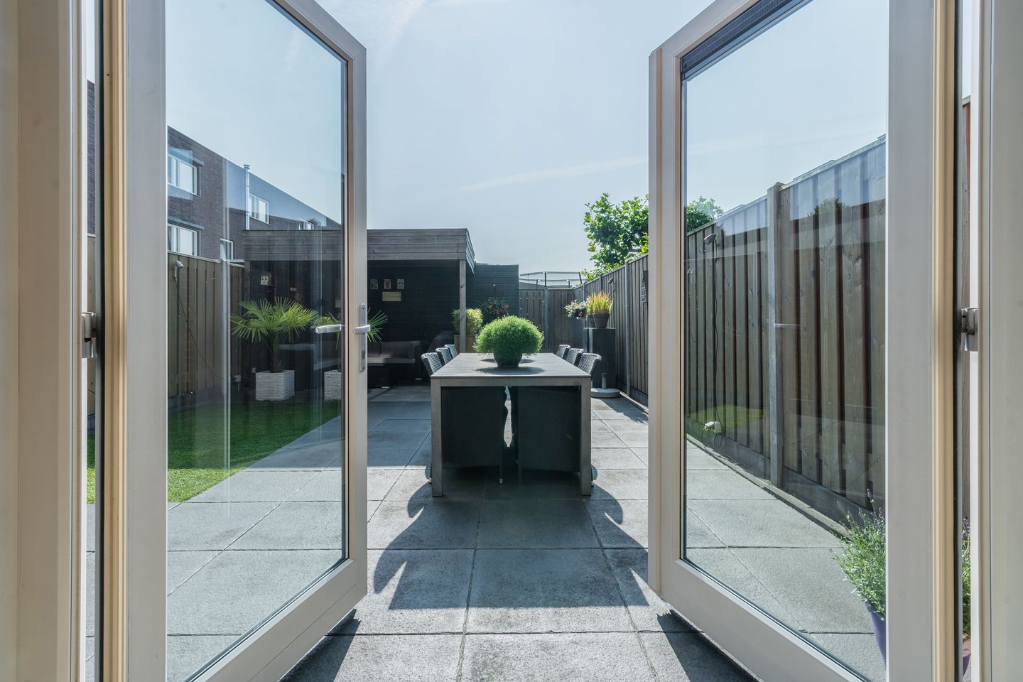 Foto 40 van Citroenvlinder 102