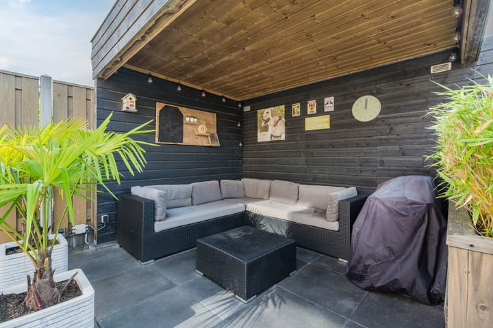 Photo 43 of Citroenvlinder 102