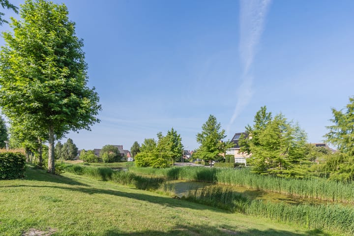 Photo 46 of Citroenvlinder 102