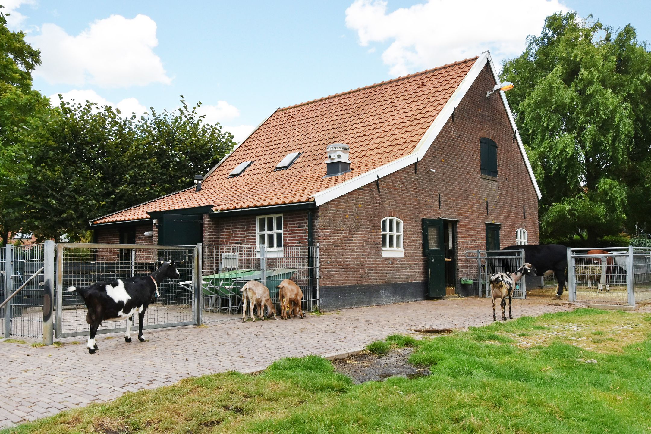 Foto 36 van Rigolettostraat 30