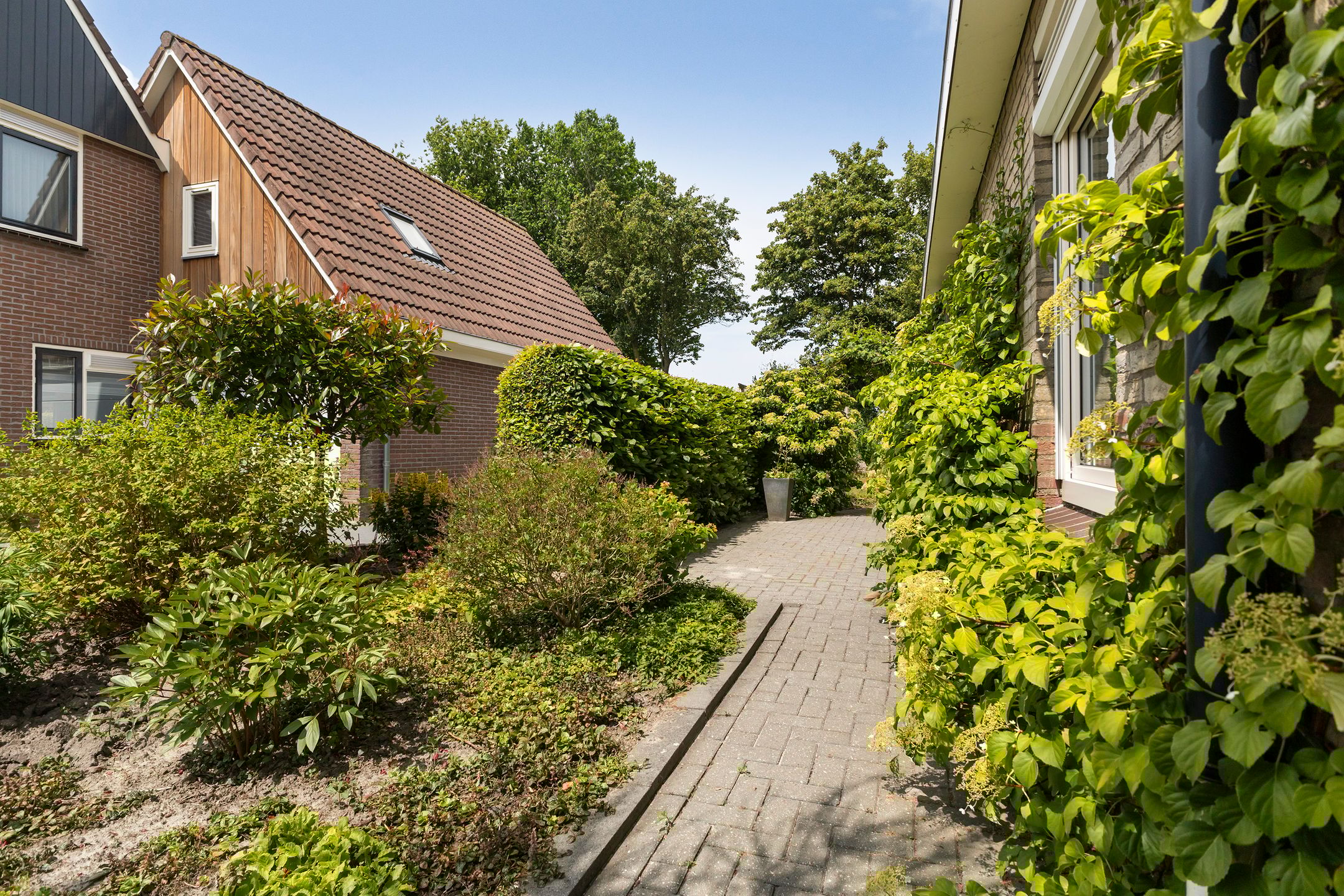 Photo 39 of Holwoartelstrjitte 10