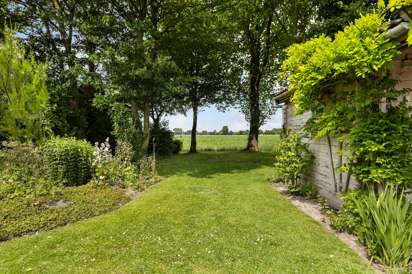 Photo 44 of Holwoartelstrjitte 10