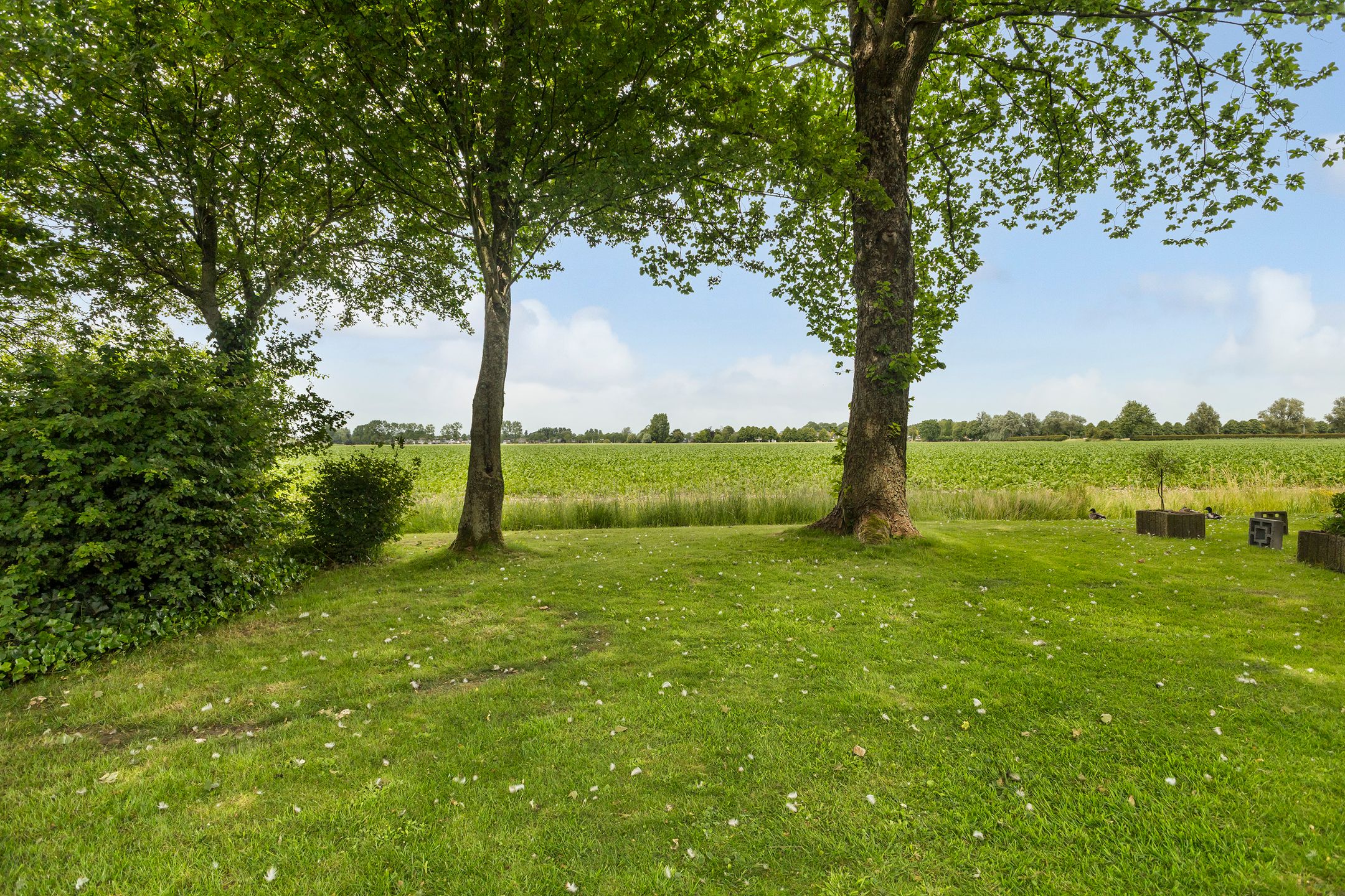 Photo 45 of Holwoartelstrjitte 10