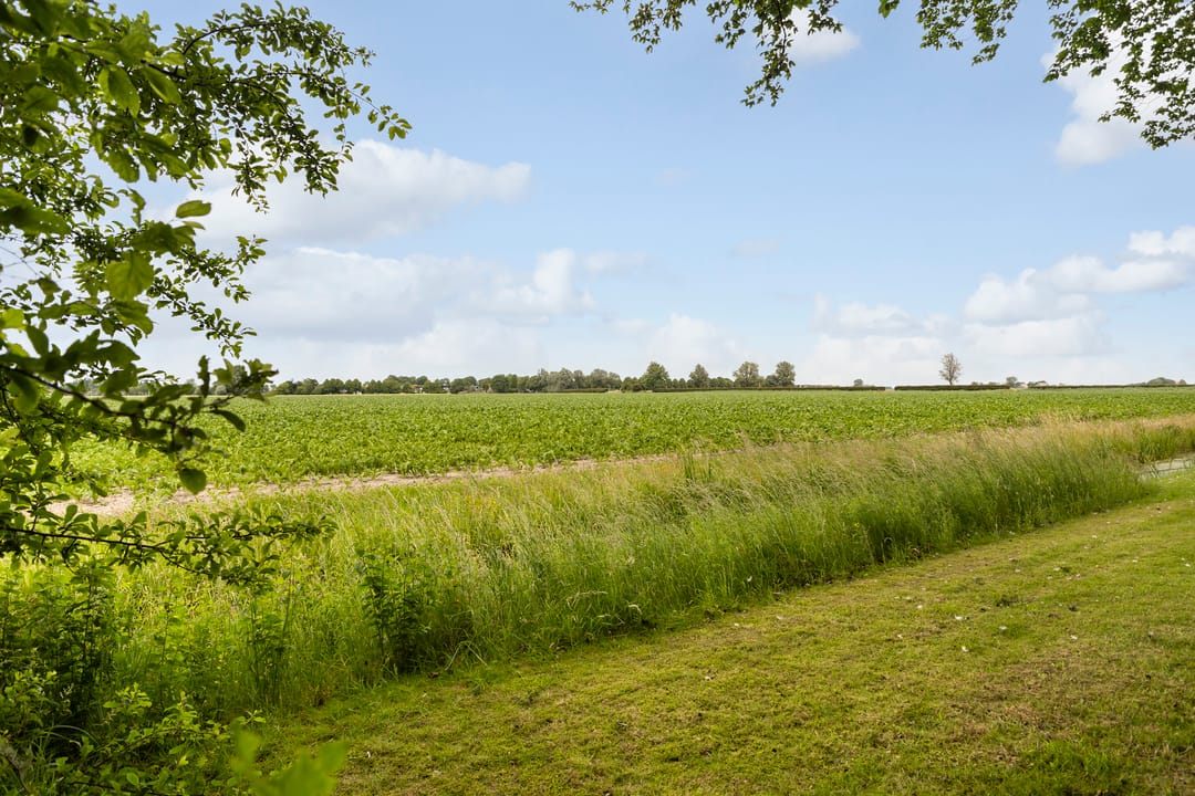 Photo 47 of Holwoartelstrjitte 10