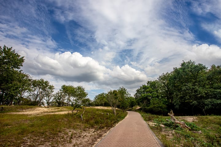 Foto 13 van Hogeweg 5