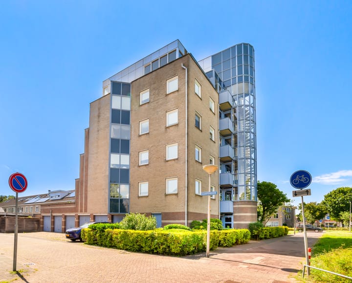 Foto 6 van Dotterbloem 6