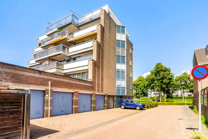 Foto 8 van Dotterbloem 6