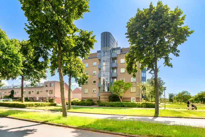 Foto 9 van Dotterbloem 6