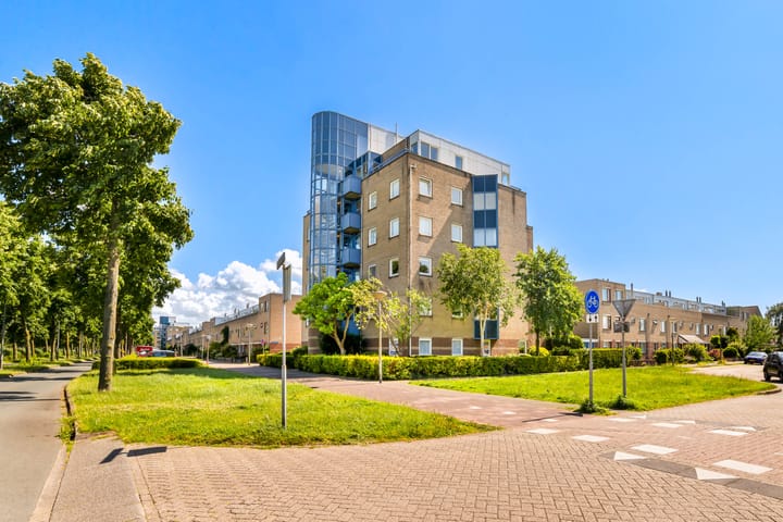 Foto 10 van Dotterbloem 6