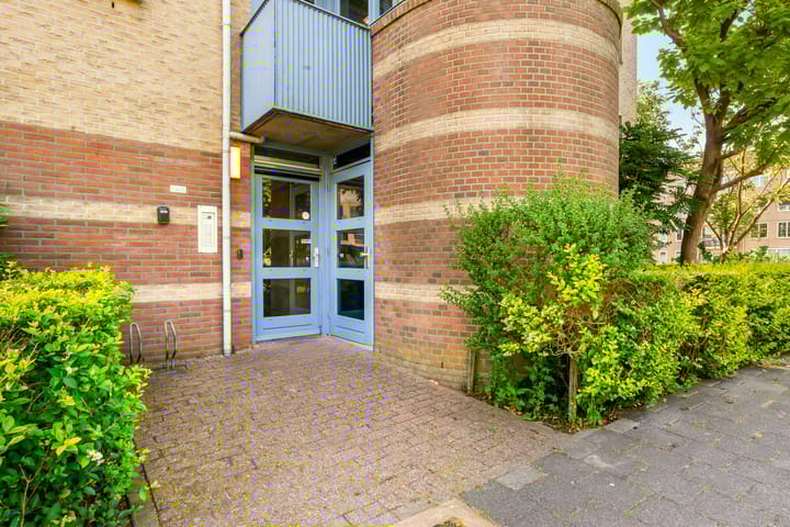 Foto 11 van Dotterbloem 6