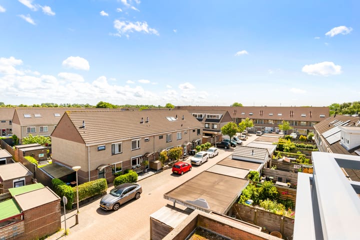 Foto 36 van Dotterbloem 6