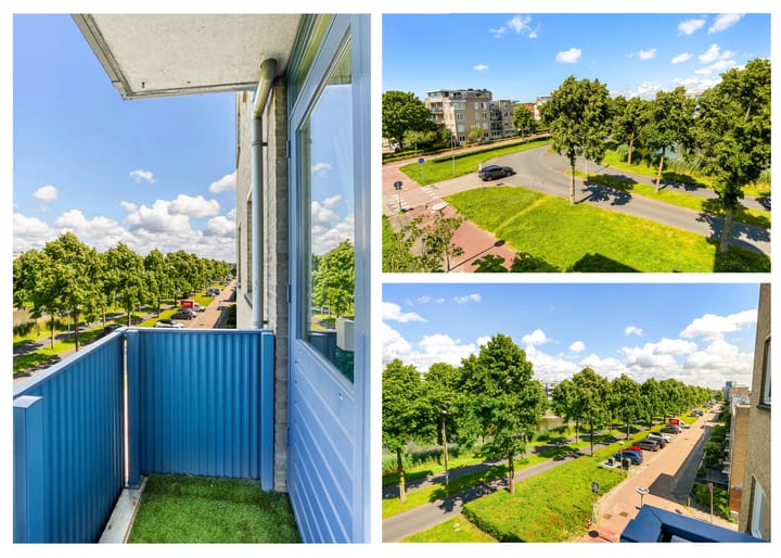 Foto 46 van Dotterbloem 6