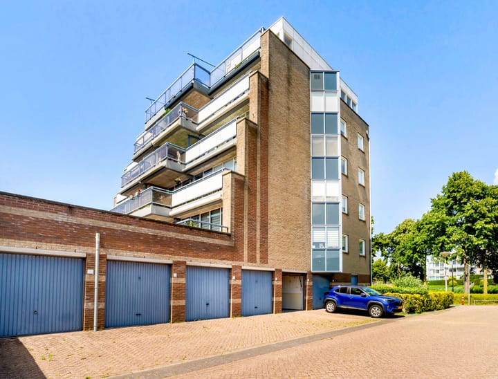 Foto 49 van Dotterbloem 6