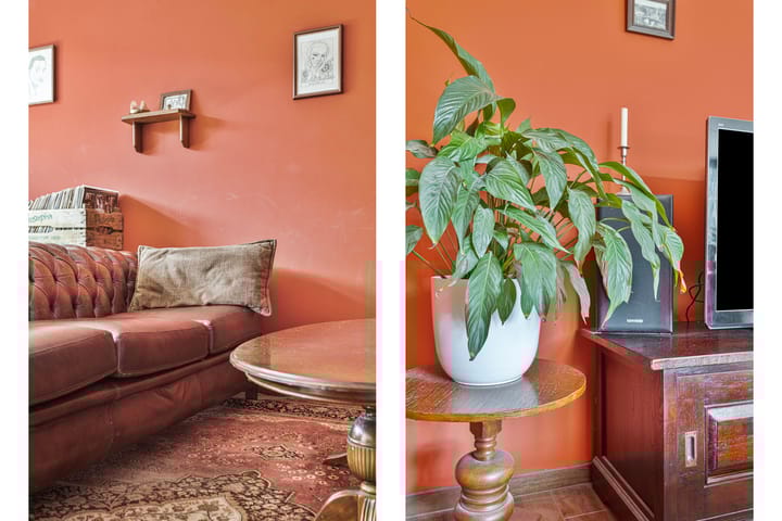 Foto 6 van De Regenboogstraat 37