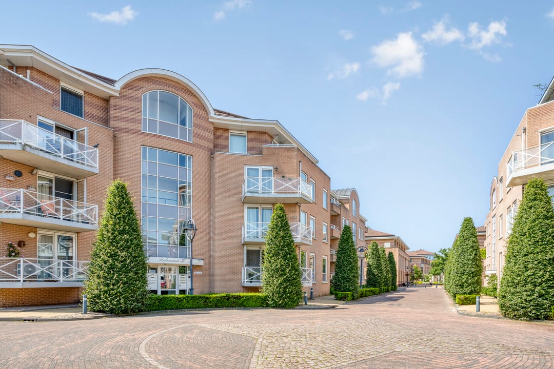 Foto 1 van de Hofnar 54