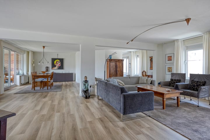 Foto 2 van de Hofnar 54