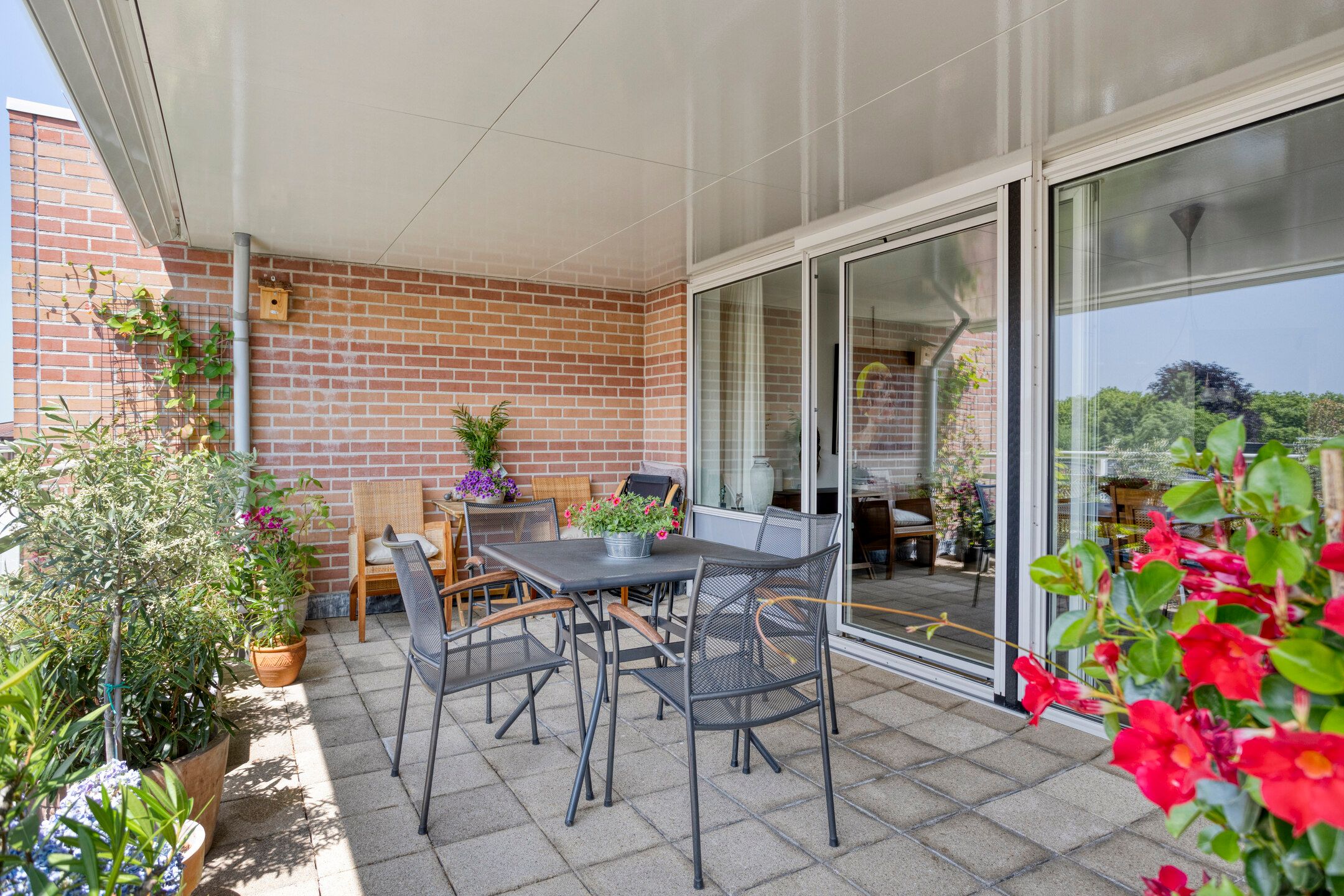 Foto 3 van de Hofnar 54