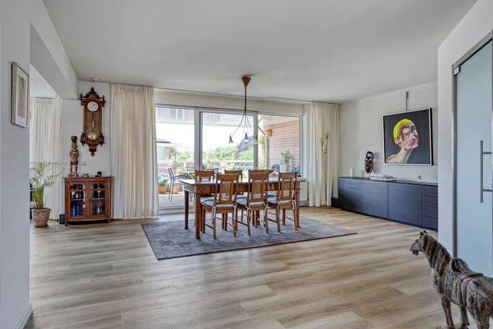 Foto 4 van de Hofnar 54